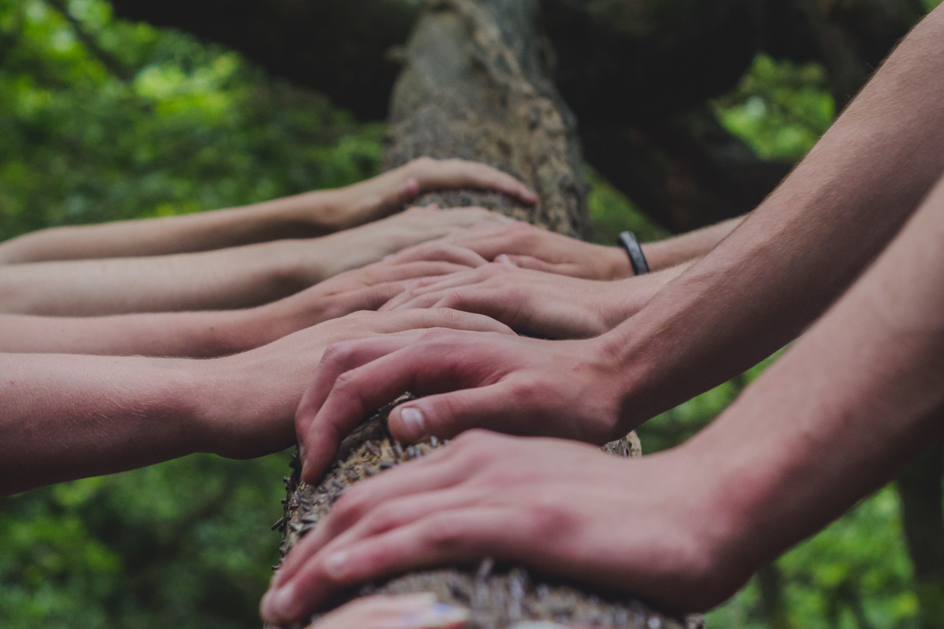 Threading The Needle Through Five Generations