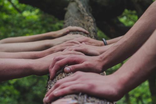 Threading The Needle Through Five Generations
